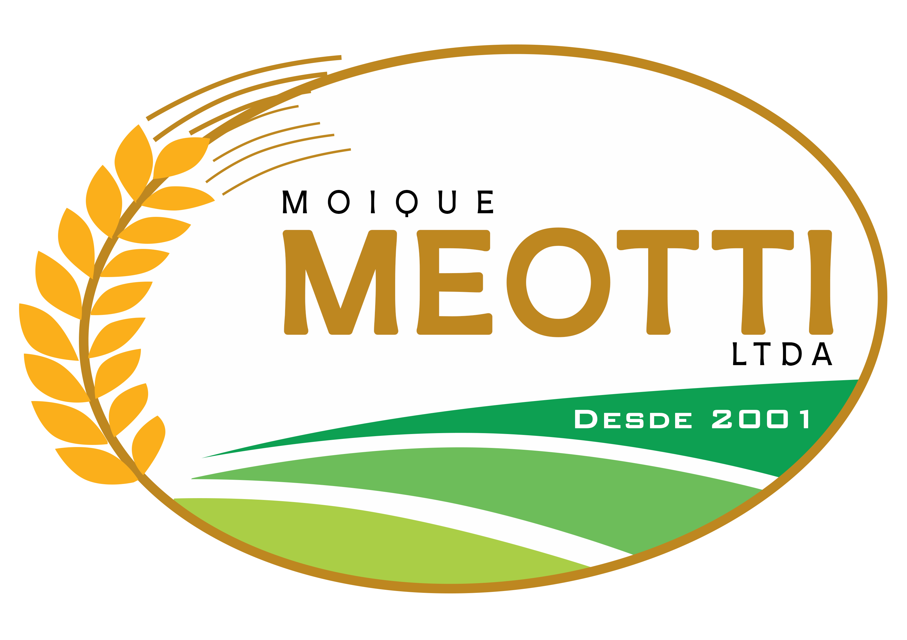 MoiQue Meotti Ltda